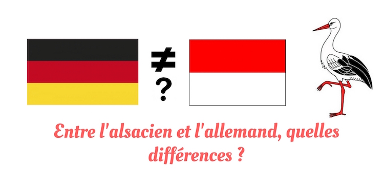 D Ou Vient La Langue Allemande Quelles différences entre l'Allemand et l'Alsacien